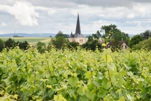 Alexandre LESCURE - ALEXANDRE LESCURE PHOTOGRAPHE